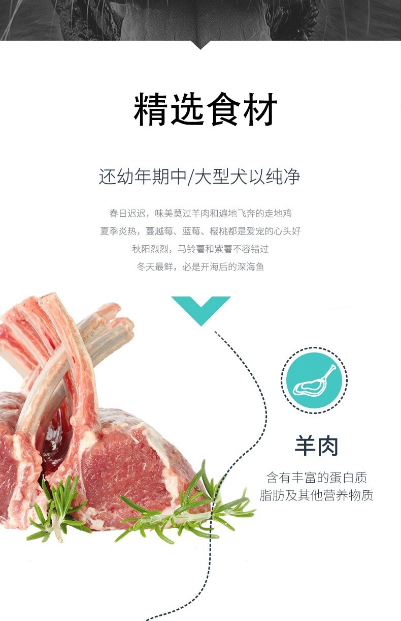 伯纳天纯 羊肉中大型犬幼犬粮 15kg