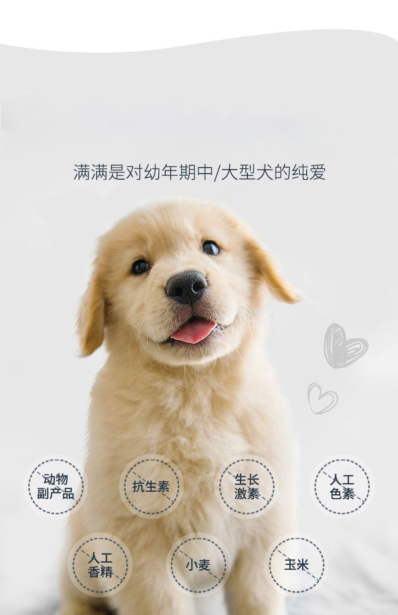 伯纳天纯 羊肉中大型犬幼犬粮 15kg