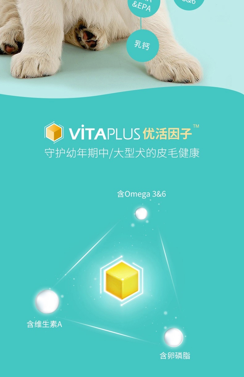 伯纳天纯 羊肉中大型犬幼犬粮 15kg