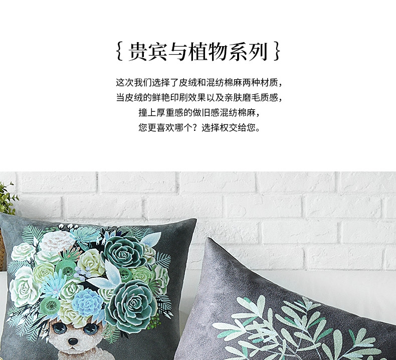 Ime 贵宾泰迪创意抱枕 细腻亲肤