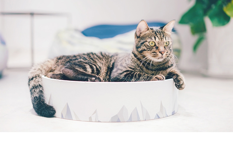 Pidan 猫抓板