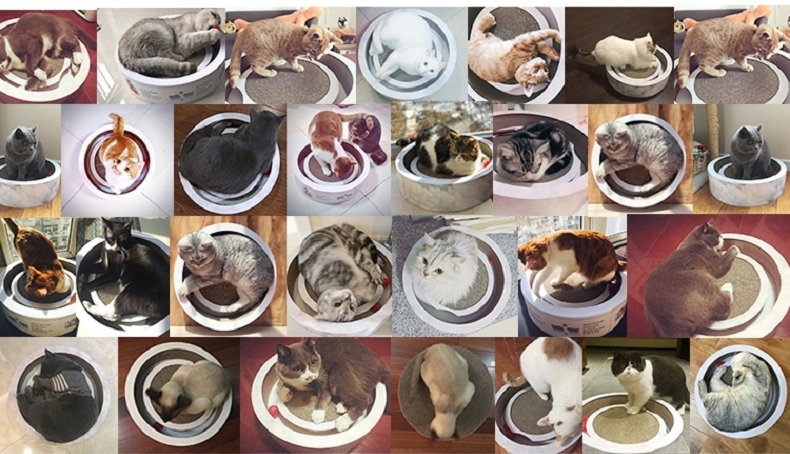 Pidan 猫抓板
