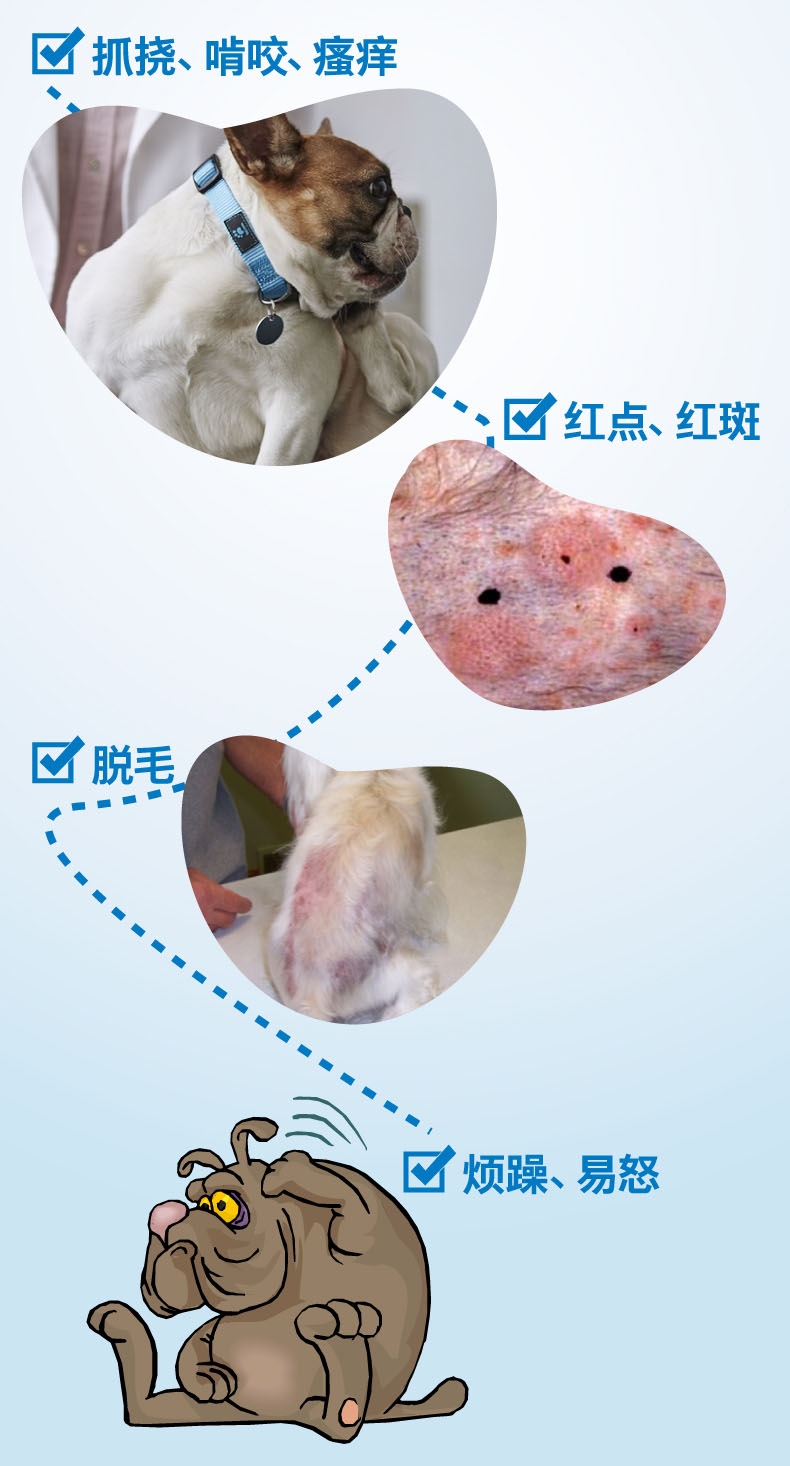 诺普星 犬猫体外驱虫 口服驱虫药 适用于 1-11.4kg 4mg六粒装