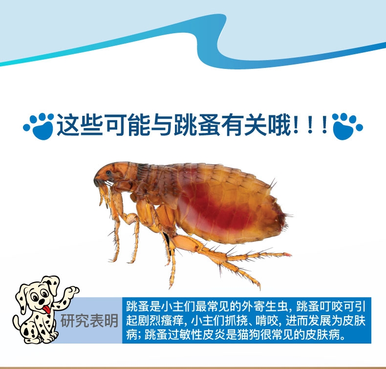 诺普星 犬猫体外驱虫 口服驱虫药 适用于 1-11.4kg 4mg六粒装