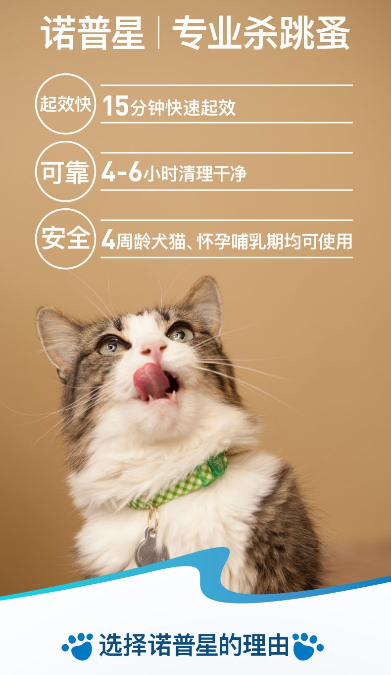诺普星 犬猫体外驱虫 口服驱虫药 适用于 1-11.4kg 4mg六粒装