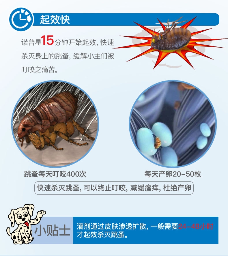 诺普星 犬猫体外驱虫 口服驱虫药 适用于 1-11.4kg 4mg六粒装