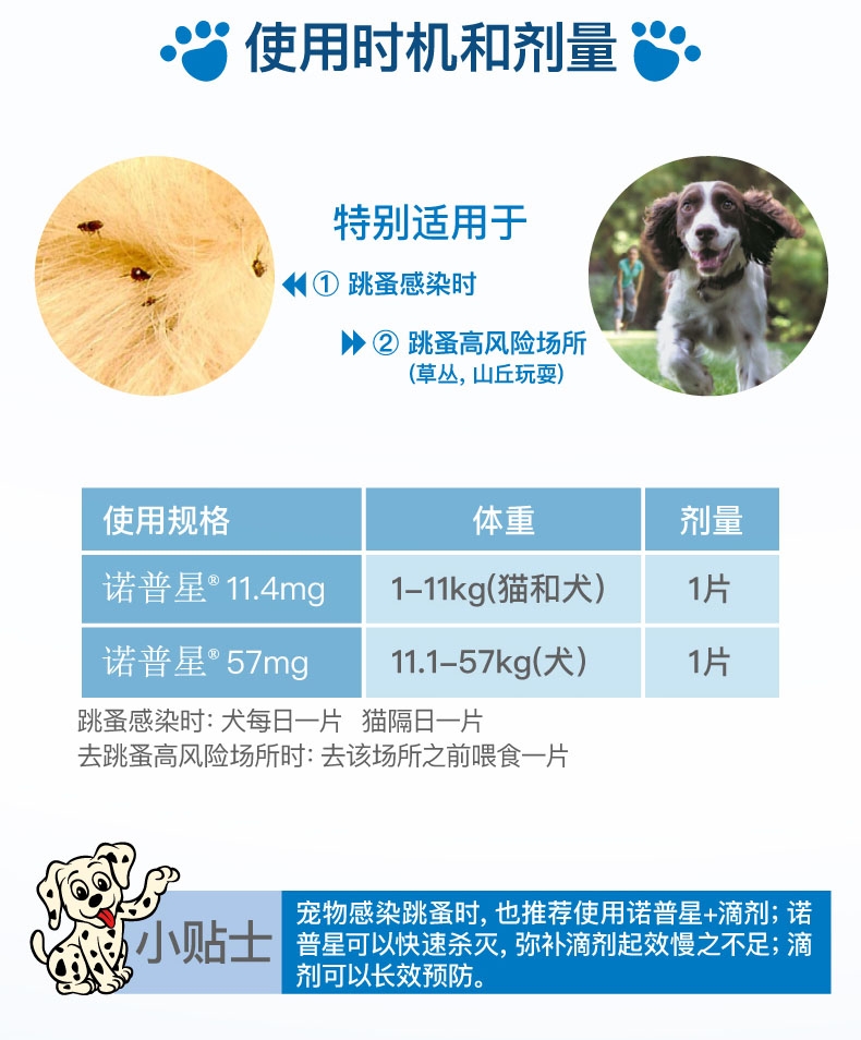 诺普星 犬猫体外驱虫 口服驱虫药 适用于 1-11.4kg 4mg六粒装