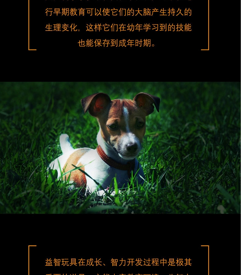 酷极kyjen 七连环 狗玩具