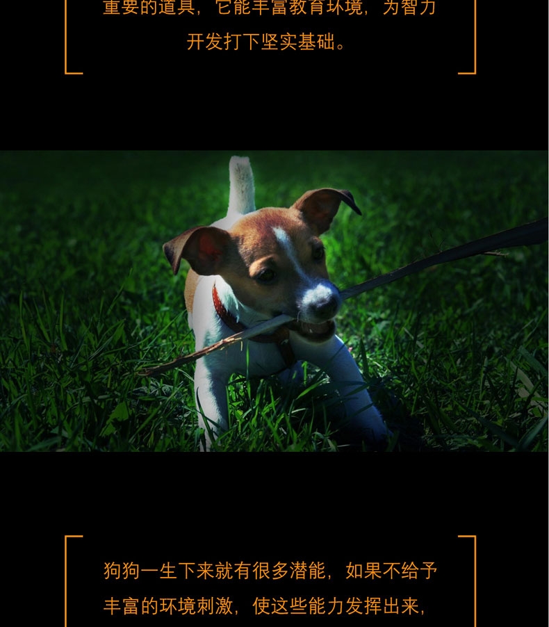 酷极kyjen 七连环 狗玩具