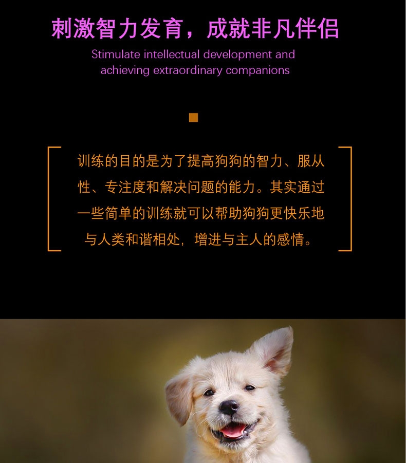 酷极kyjen 七连环 狗玩具