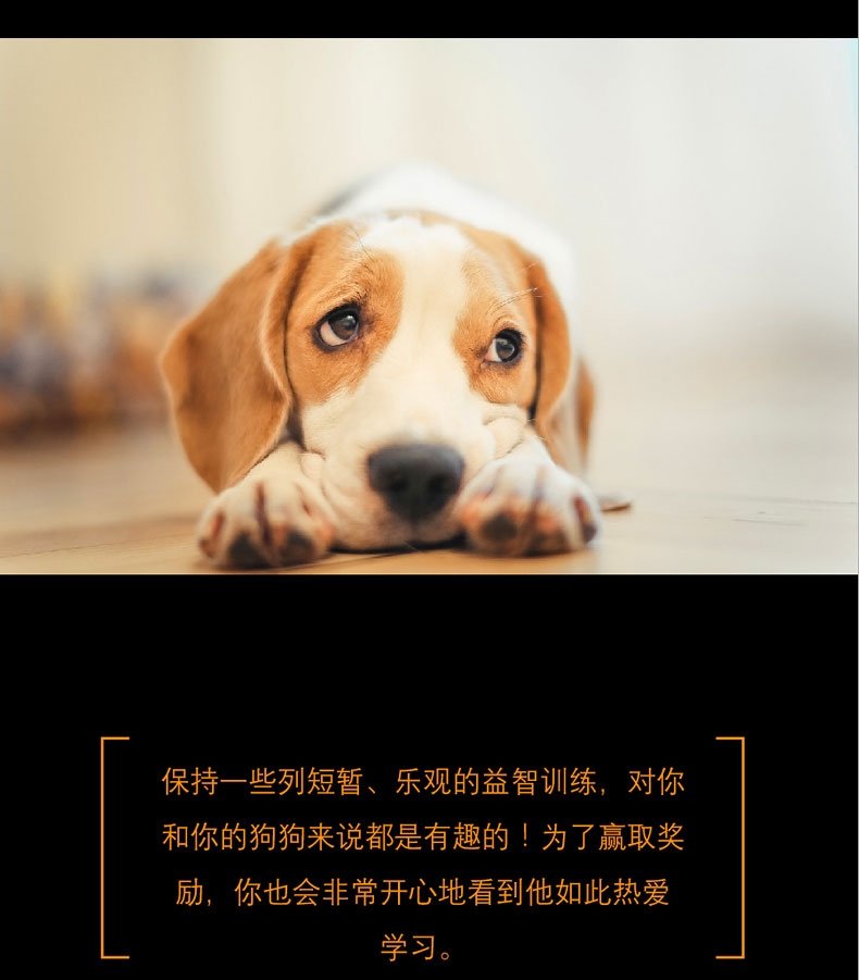 酷极kyjen 七连环 狗玩具