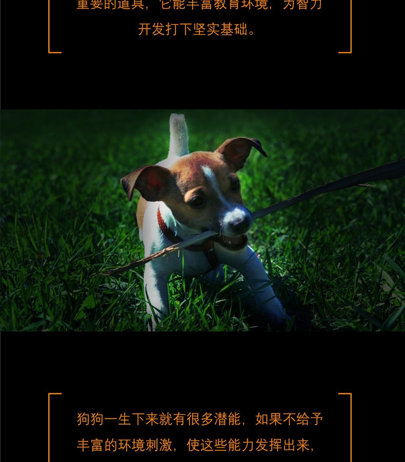 酷极kyjen 移动宝盒益智狗狗玩具