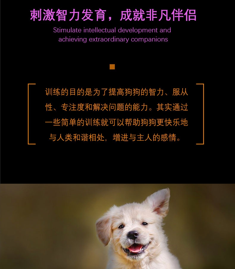 酷极kyjen 移动宝盒益智狗狗玩具