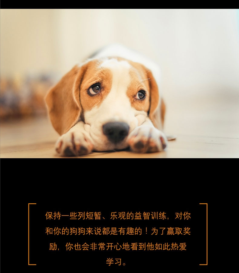 酷极kyjen 移动宝盒益智狗狗玩具
