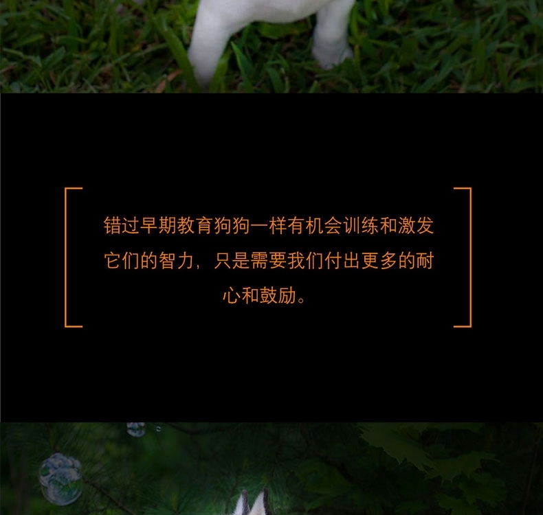 酷极kyjen 龙卷风暴益智狗狗玩具