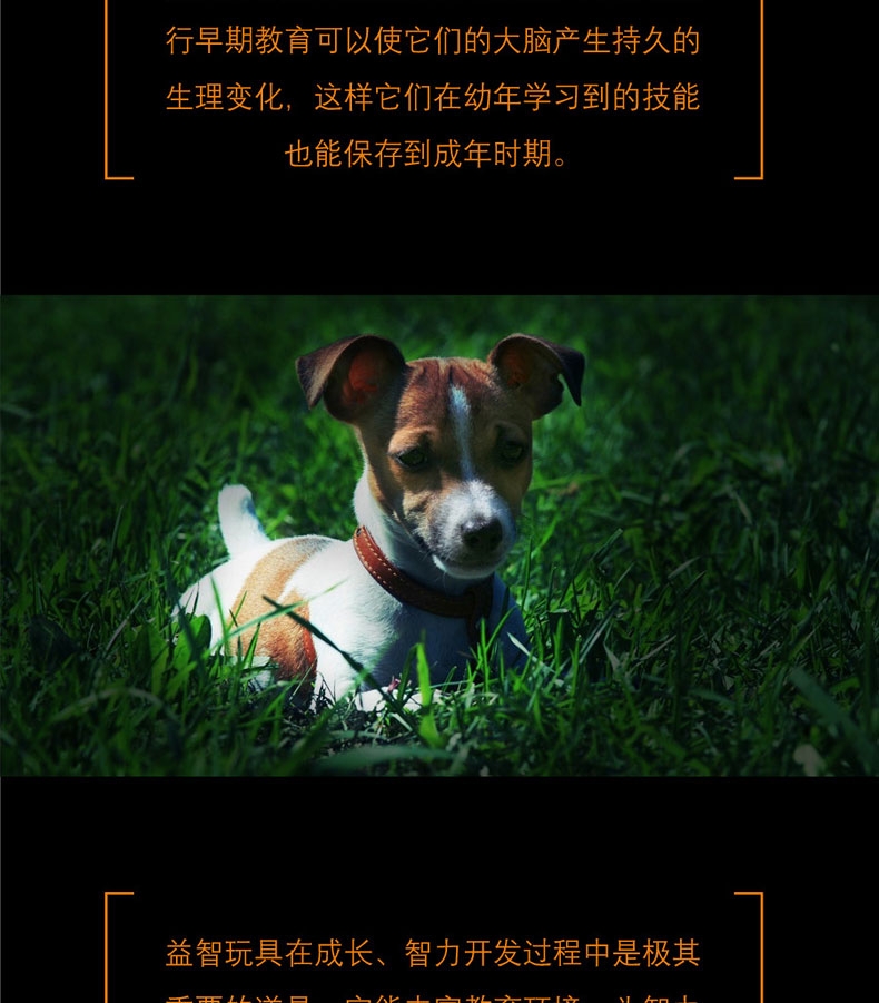 酷极Kyjen 九连环益智训练狗狗玩具