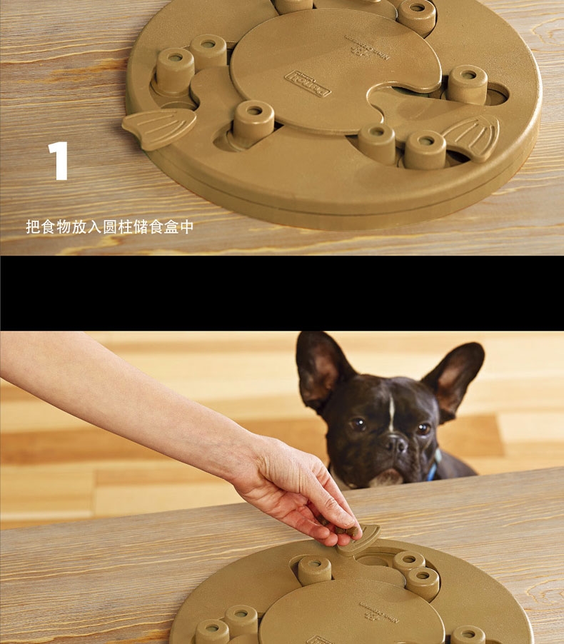酷极Kyjen 九连环益智训练狗狗玩具