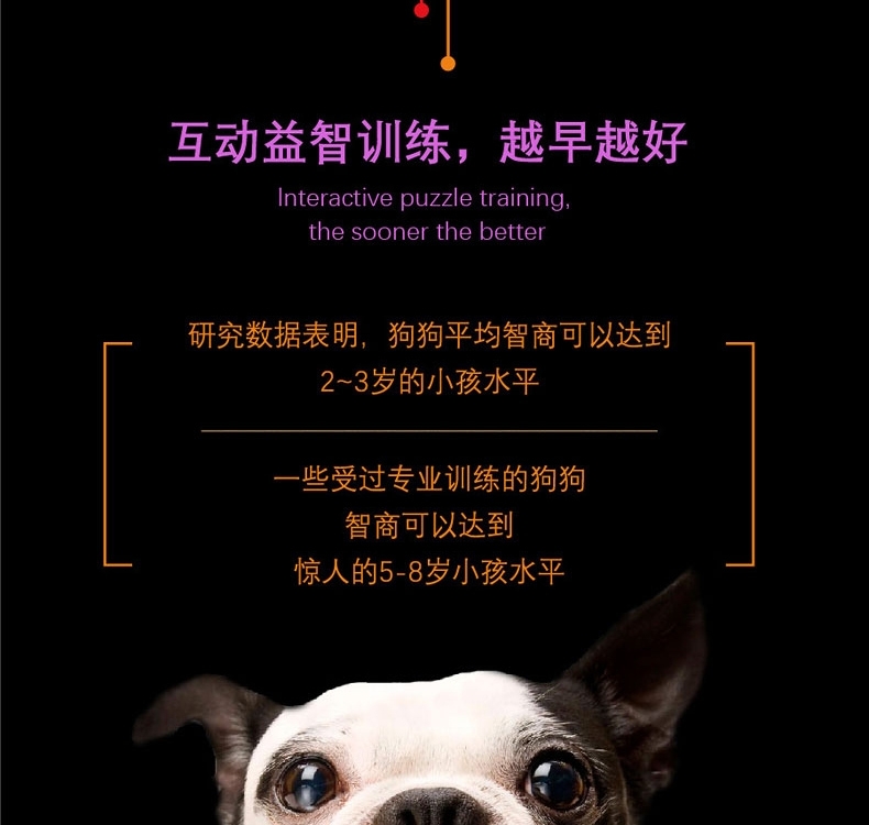 酷极Kyjen 九连环益智训练狗狗玩具