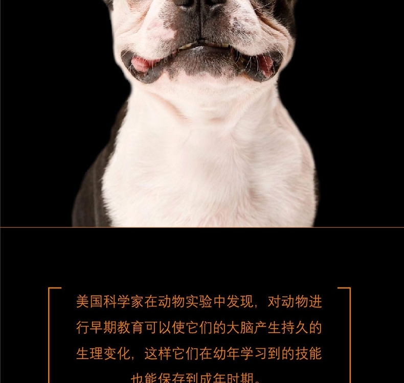 酷极Kyjen 九连环益智训练狗狗玩具