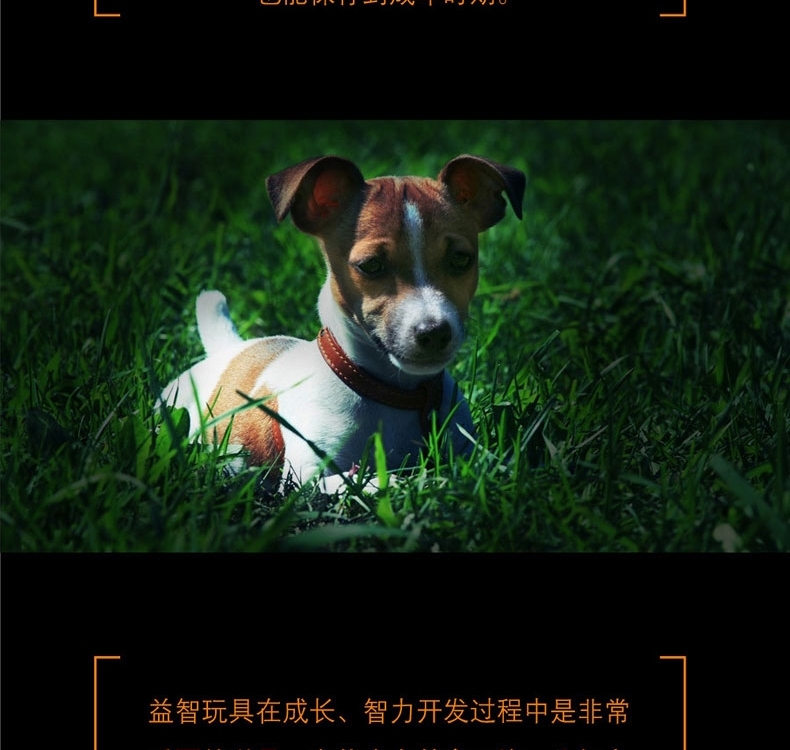 酷极Kyjen 九连环益智训练狗狗玩具