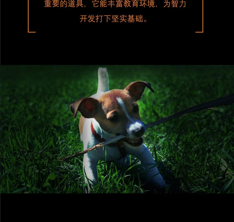 酷极Kyjen 九连环益智训练狗狗玩具