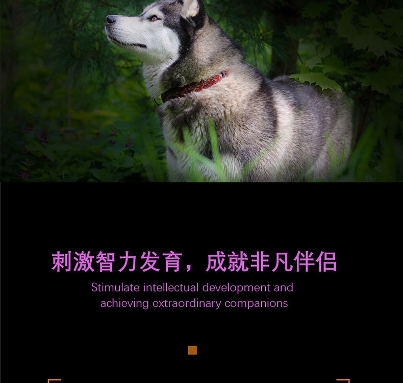 酷极Kyjen 九连环益智训练狗狗玩具
