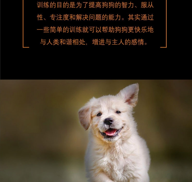酷极Kyjen 九连环益智训练狗狗玩具