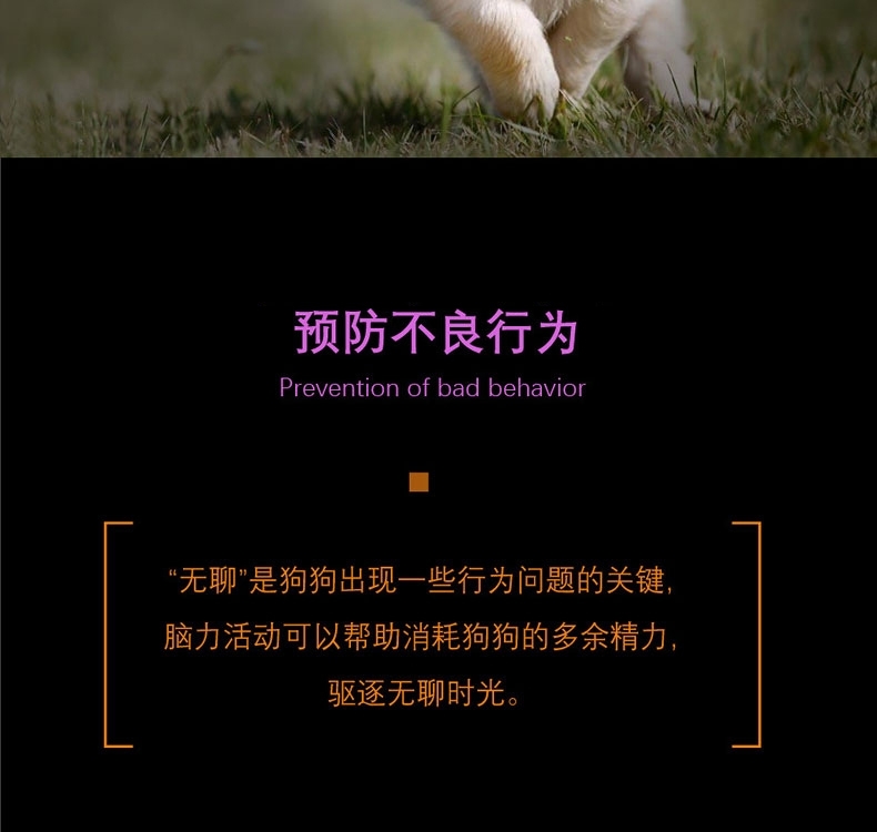 酷极Kyjen 九连环益智训练狗狗玩具