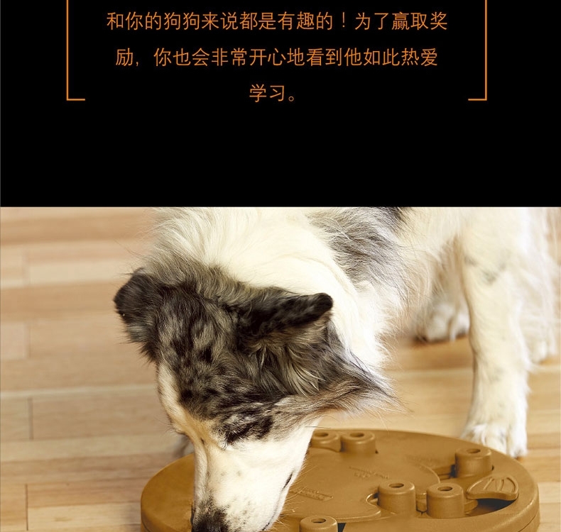 酷极Kyjen 九连环益智训练狗狗玩具
