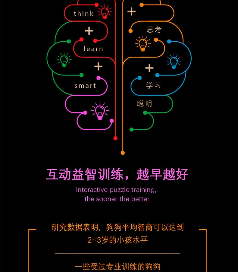 酷极Kyjen 狗狗娱乐场益智训练狗狗玩具