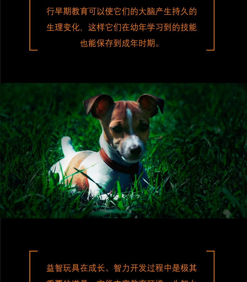 酷极Kyjen 狗狗娱乐场益智训练狗狗玩具