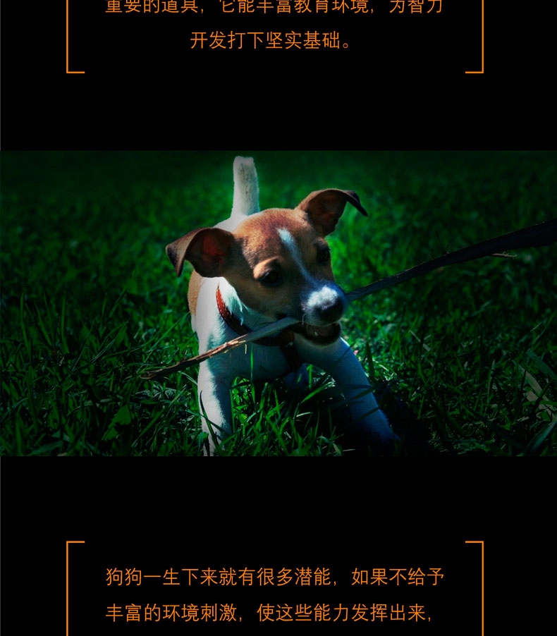 酷极Kyjen 狗狗娱乐场益智训练狗狗玩具