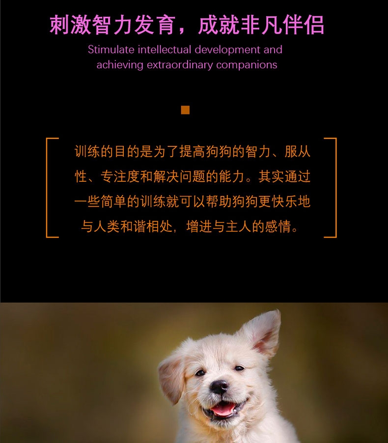 酷极Kyjen 狗狗娱乐场益智训练狗狗玩具