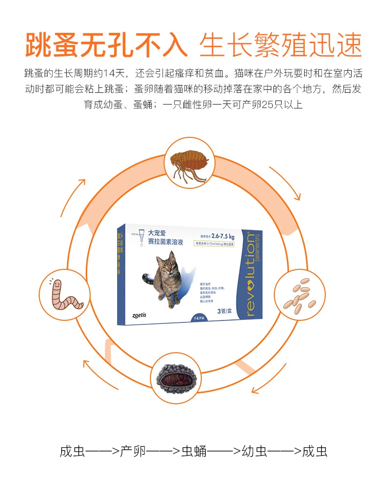 大宠爱 猫用内外同驱 驱虫滴剂 2.6-7.5kg猫适用 45mg*3支盒装/3个月剂量 美国进口