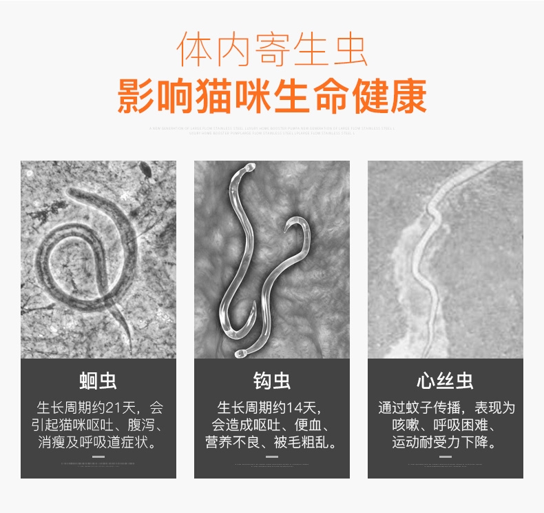 大宠爱 猫用内外同驱 驱虫滴剂 2.6-7.5kg猫适用 45mg*3支盒装/3个月剂量 美国进口