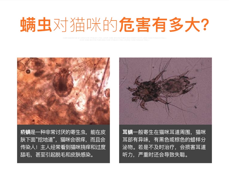 大宠爱 猫用内外同驱 驱虫滴剂 2.6-7.5kg猫适用 45mg*3支盒装/3个月剂量 美国进口