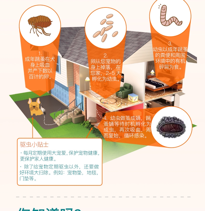 大宠爱 狗用内外同驱 驱虫滴剂 适用10.1-20kg 120mg*3支盒装/3个月剂量 美国进口