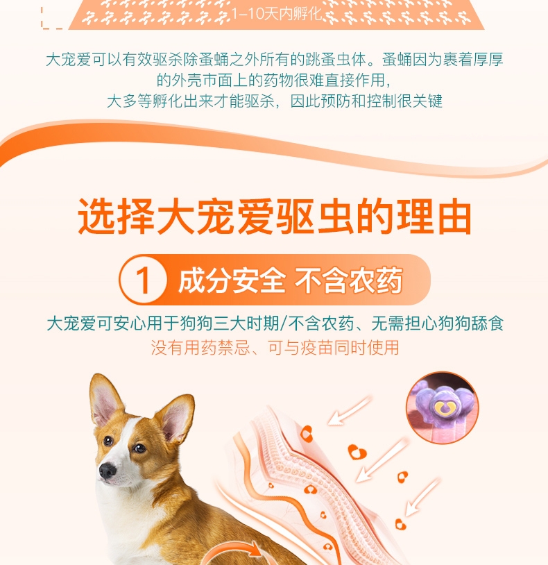 大宠爱 狗用内外同驱 驱虫滴剂 适用10.1-20kg 120mg*3支盒装/3个月剂量 美国进口