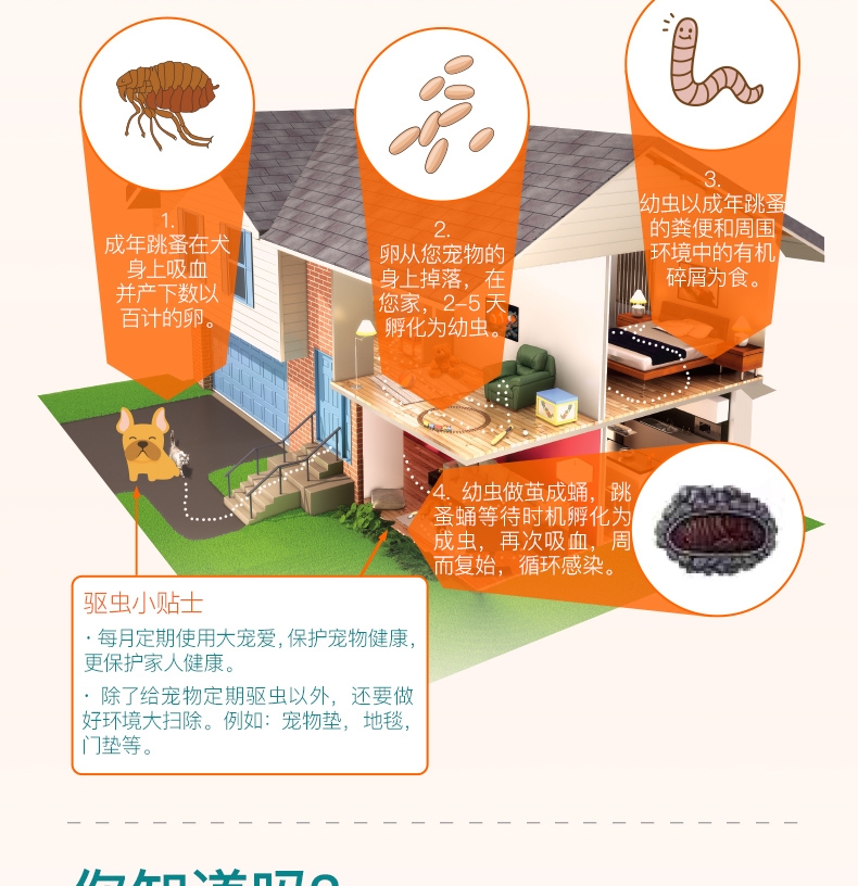 大宠爱 狗用内外同驱 驱虫滴剂 20.1-40kg适用 240mg*3支盒装/3个月剂量 美国进口