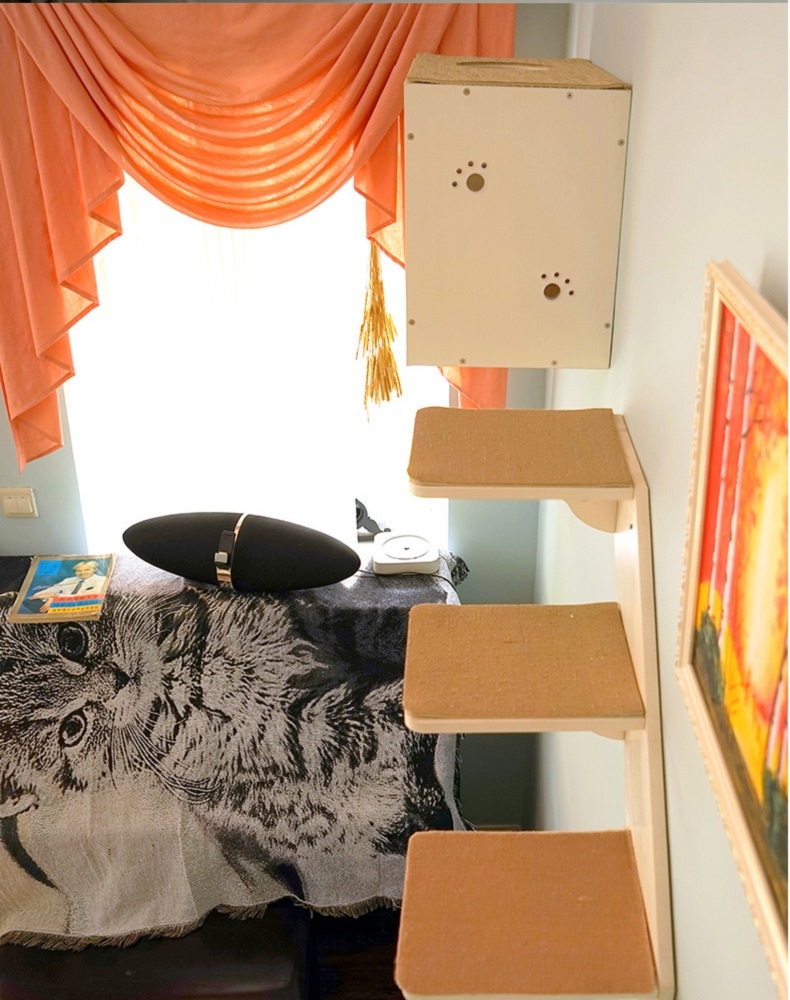 CatS 实木制猫床猫跳台F4白浮雕款 多款式可选