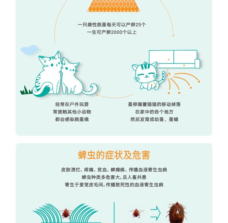 博来恩Broadline 中大型猫用滴剂L 3支/盒(2.5-7.5kg)