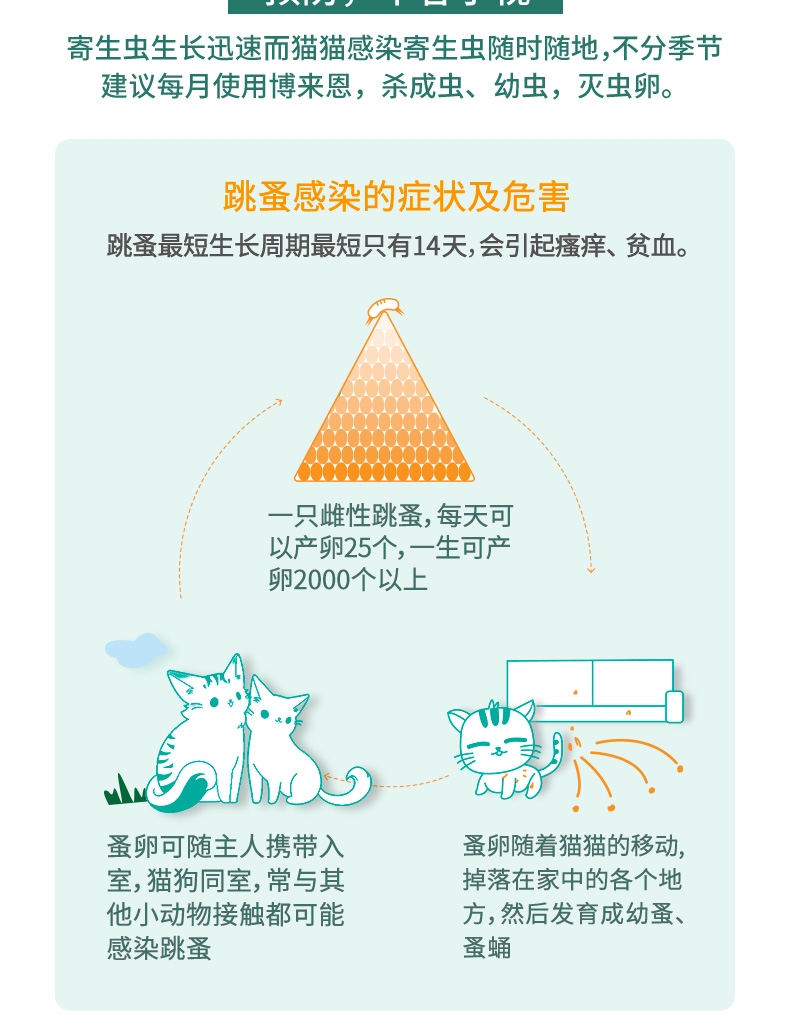 博来恩Broadline 猫用驱虫滴剂 内外同驱 中大型猫(2.5-7.5kg) 3支/3个月剂量 法国进口