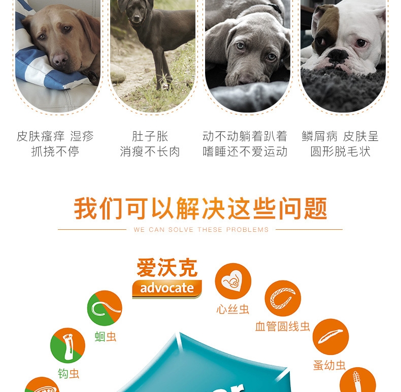 爱沃克 10-25kg犬用驱虫滴剂L 3支/盒