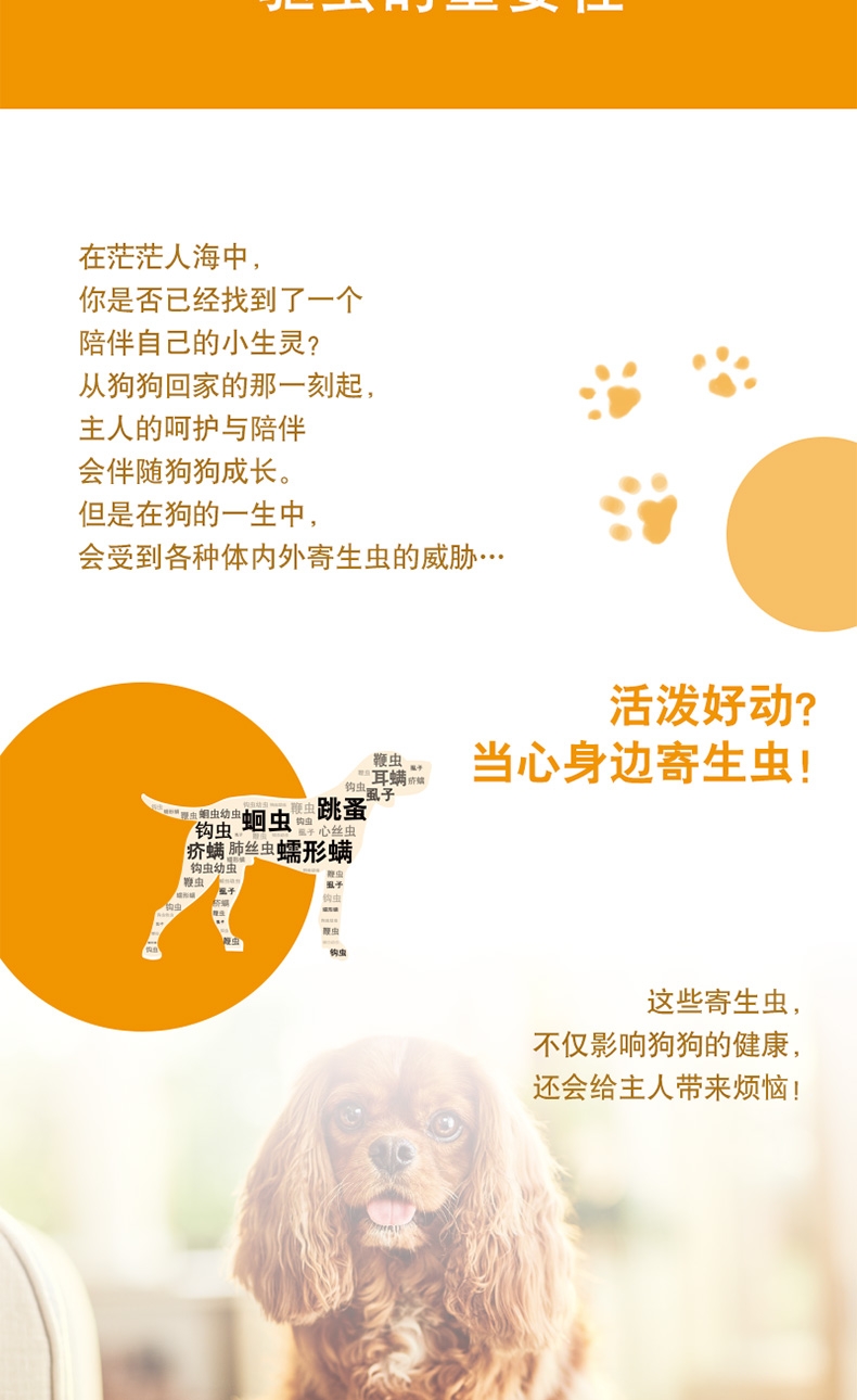 爱沃克 犬用内外同驱 驱虫滴剂 适用10-25kg犬 3支整盒装/3个月剂量 德国进口