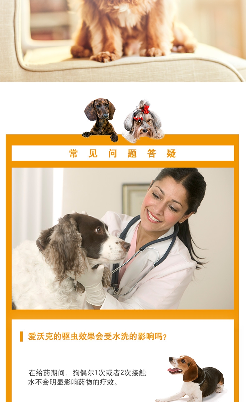 爱沃克 犬用内外同驱 驱虫滴剂 适用10-25kg犬 3支整盒装/3个月剂量 德国进口