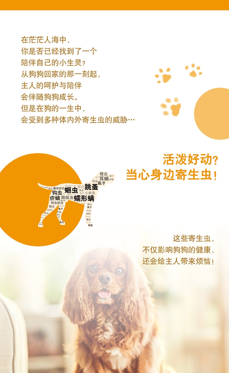 爱沃克 犬用内外同驱 驱虫滴剂 适用10-25kg犬 3支整盒装/3个月剂量 德国进口
