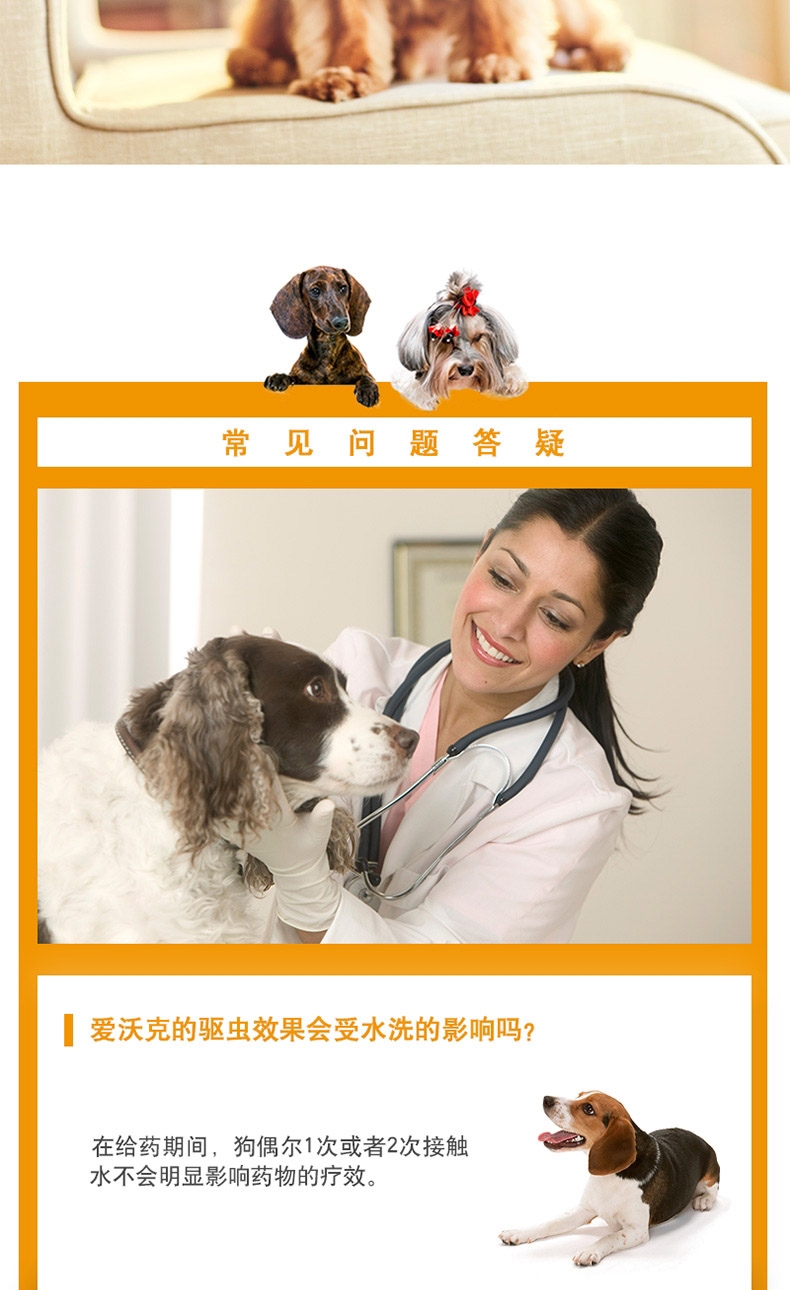 爱沃克 犬用内外同驱 驱虫滴剂 适用10-25kg犬 3支整盒装/3个月剂量 德国进口