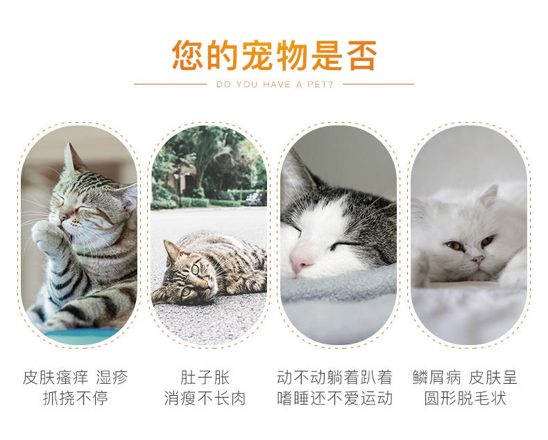 爱沃克 4-8kg猫用驱虫滴剂M 单支装