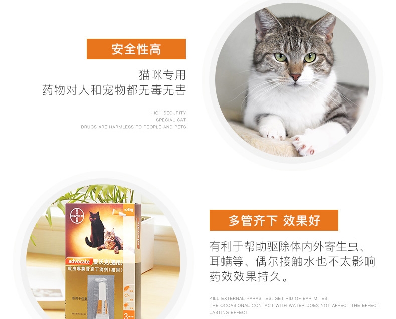 爱沃克 4-8kg猫用驱虫滴剂M 单支装