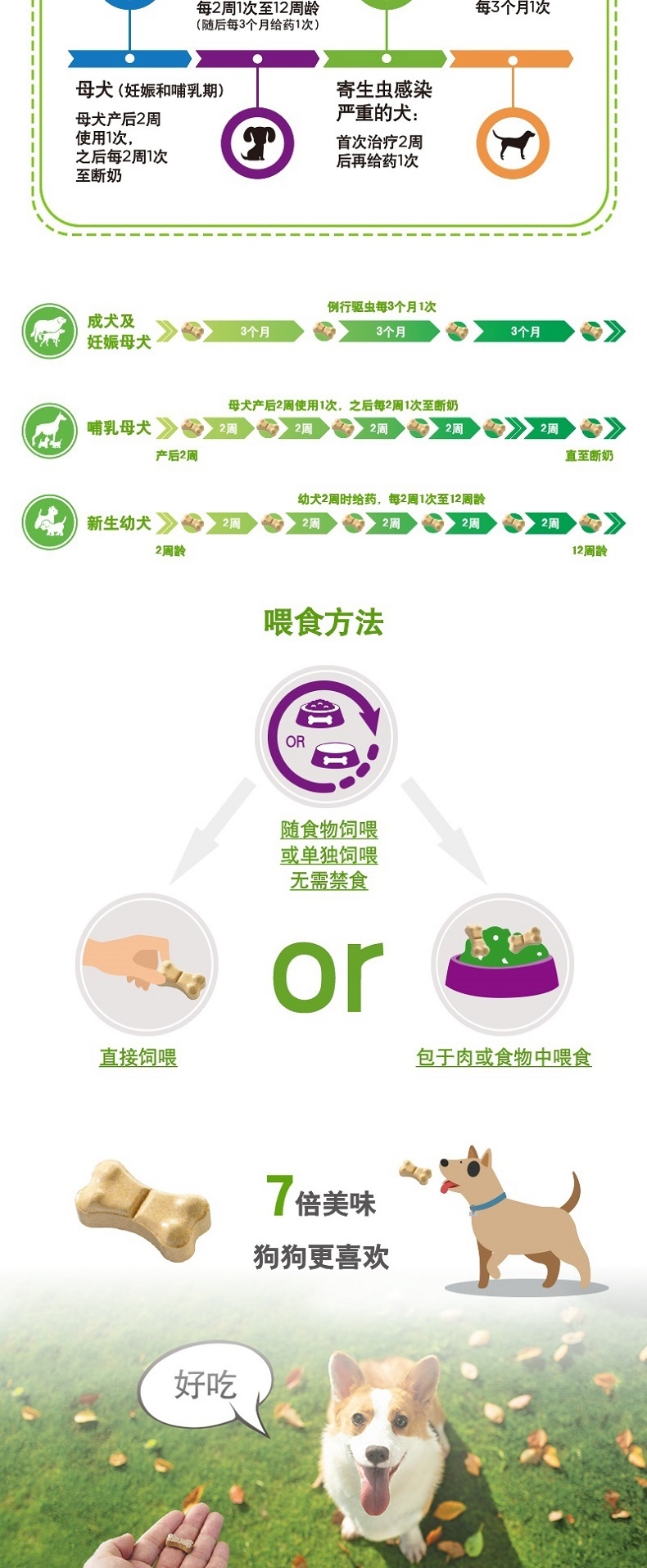 拜宠清 犬用体内驱虫 口服 6片盒装/可三个月喂一次 德国进口